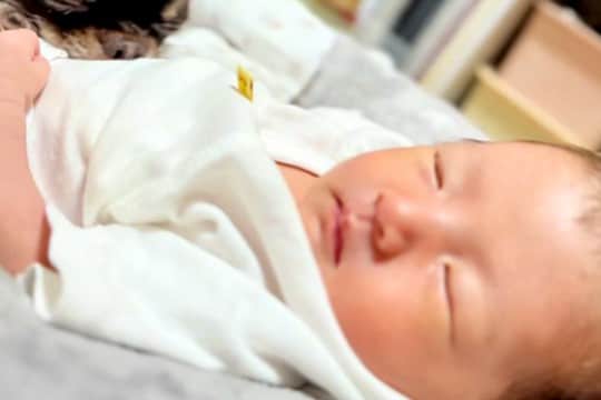 生まれたばかりの赤ちゃんが寝ていたら、犬が近づいて…気が付いたらいつも隣にいる『愛に溢れた光景』に反響「守ってくれてるのね」「仲良し」