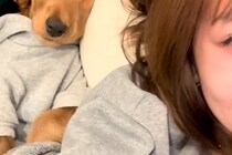 ソファで転がっていたら、添い寝しにきた犬→『嬉しいな』と寝顔を見てみたら…『衝撃的な表情』が14万再生「落花生みたいで草」「貴重な顔ｗ」