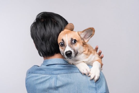犬を『ハグしすぎる』と危険な理由4選 愛犬に与える悪影響や適切なスキンシップまで