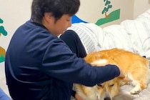 『花粉症やから！』どうしても男の子と一緒に寝たい犬→無理だと伝えると…思った以上に『駄々をこねる光景』が21万再生「断固たる決意ｗ」