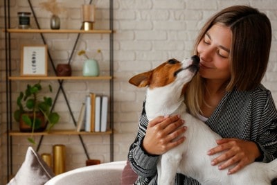 甘えるようにスリスリする犬
