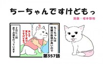 ちーちゃんですけどもっ【第357話】「皮下点滴の後で」