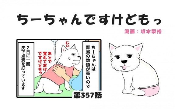 ちーちゃんですけどもっ【第357話】「皮下点滴の後で」
