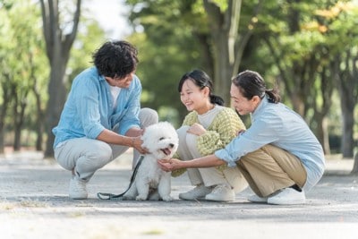 犬と家族