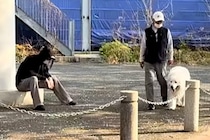 散歩中、おじいちゃんとおばあちゃんを発見し喜ぶ超大型犬→パパの場合は…あまりにも『無慈悲な光景』が197万再生「愛が空回りしてるの草」