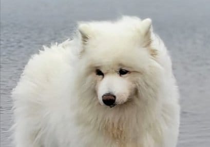 しょんぼり