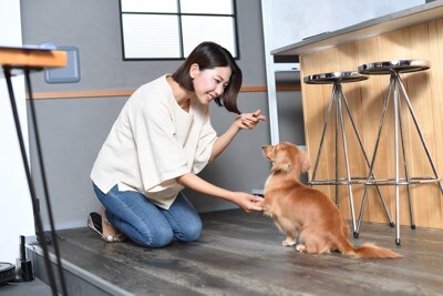 ほめられる犬