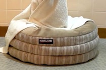 うっかり『怖い動画』を見てしまい、お風呂に入るのが怖くなったので…まさかの『犬に見守ってもらう光景』に3万いいね「心強い」「素晴らしい」