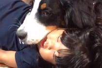 幼少期から犬たちと一緒に育った女の子→『どんな子になるかな』と思ったら…素敵すぎる『成長記録』が27万再生「優しい子」「感動した、最高」