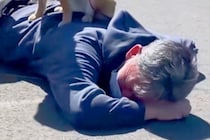 犬のリードが手から外れ、父が見事『ダイビングキャッチした』と思ったら…想定外な『まさかの光景』が29万再生「嬉しそうで草」「安全地帯ｗ」