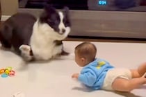 赤ちゃんが突然『奇声』を上げた結果→近くにいた犬が…お笑い芸人のような『100点満点の光景』が224万再生「大げさで草」「めちゃ笑った」