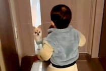 1歳の男の子と半日ぶりに再会した犬→ドアを開けた瞬間、嬉しくなりすぎて…尊すぎる『喜び方』が134万再生「嬉しいね」「ピョンピョン」