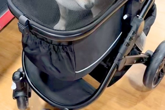 ペットカートを買おうと、犬に試乗してもらった結果→思った以上に嫌そうで…あからさまな『表情と態度』に爆笑「何か言いたそうｗｗ」「可愛い」