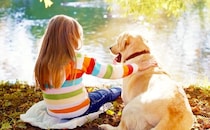 犬を飼う前に考えてほしい「飼い主に必要な12の条件」