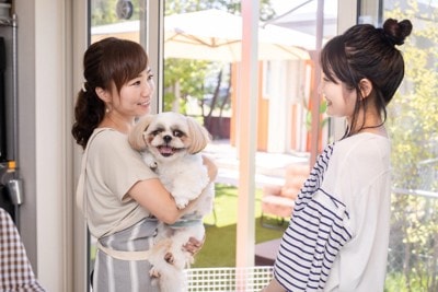 スタッフに抱っこされる犬と笑顔で向かい合う飼い主