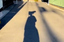 犬と散歩をしている男性→『影』の様子がおかしく…思わず二度見する『移動方法』が10万再生「ピカチュウのポジションで草」「写真撮りたい」