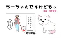 ちーちゃんですけどもっ【第358話】「やっぱり凄い」