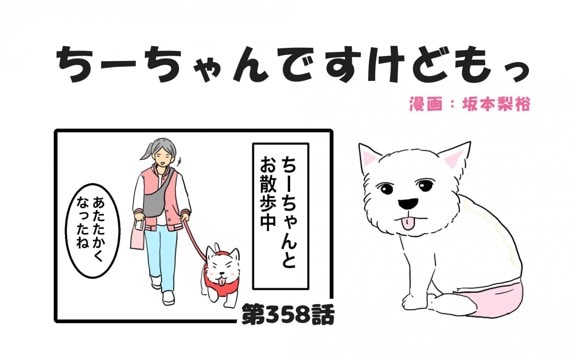 ちーちゃんですけどもっ【第358話】「やっぱり凄い」