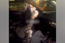 車で『お仕事帰りのママ』をお迎えにきた犬→見つけた瞬間、愛が爆発して…あまりにも尊い『おかえりの歓迎』に反響「疲れ吹っ飛ぶ」「可愛すぎ」