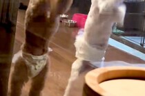犬と泊まれるホテルで『客室露天風呂』に入った結果→ふと部屋を見ると…全くリラックスできない光景が29万再生「太鼓の達人で草」「シンクロ」