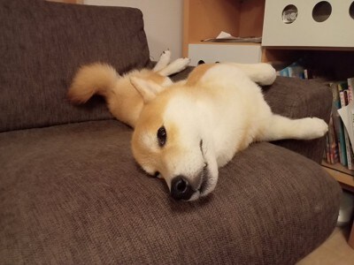 角度