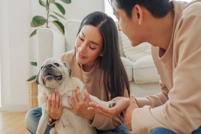 家族と犬