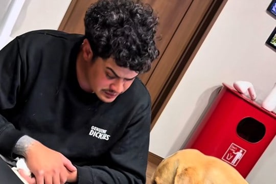 おしっこを失敗してしまった大型犬→自らパパに謝りに行って…思った以上の『反省の態度と表情』が9万再生「人間と変わらんw」「感情豊か」