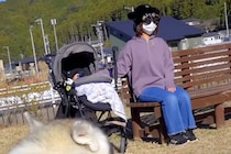 『変装した母が道端にいたら、大型犬たちは気付くのか？』を検証→絶対にわかると思ったら…まさかの結末が23万再生「残念すぎｗｗ」「可愛い」