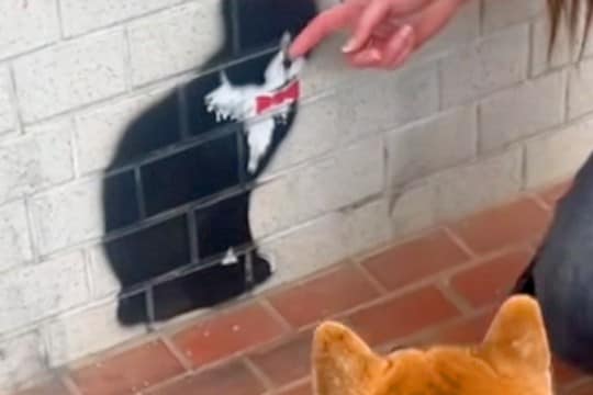 猫のことが大好きな犬→散歩中に見つけた『壁に描かれた猫』を撫でた結果…勘違いで見せた『まさかの光景』に反響「可愛い」「なんとも愛らしい」