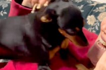 犬を飼うのに大反対していた母→反対を押し切り、お迎えした結果…嘘のような『まさかの光景』に反響「こうなるよねｗ」「幸せそうで羨ましい」