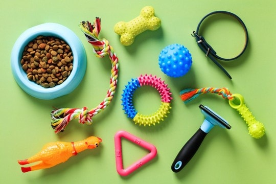 飼い主がつい買ってしまう『犬用品』3つ　後悔しないために事前に知っておくべきことまで