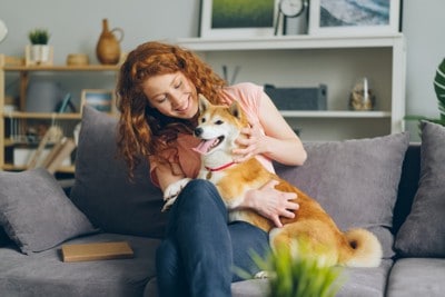 ソファの上で犬と戯れる女性