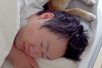 体調を崩してしまったパパ→異変に気付いた犬が、ベッドまで様子を見に来て…愛に溢れた『看病の様子』に反響「神対応」「優しく寄り添って…」
