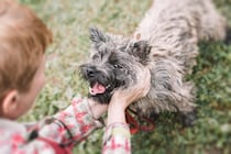犬の『幸福度』をあげる方法５選　日々の暮らしに幸せを感じているワンコの共通点とは？