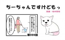 ちーちゃんですけどもっ【第359話】「お散歩中の会話」