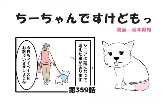 ちーちゃんですけどもっ【第359話】「お散歩中の会話」