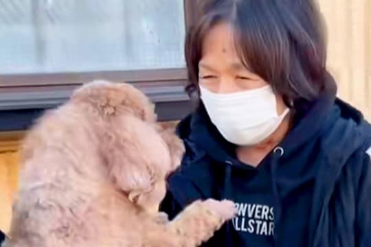 大好きなおばあちゃんとお別れをする犬→帰り際、後ろ姿を見たら…切なすぎる『バイバイの瞬間』が8万再生「大好きが伝わる」「離れたくないね」