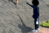 『急な斜面』を駆け上がる犬→思った以上に『得意げな表情』が可愛すぎると259万表示「ヤギ顔負けｗｗ」「小学生男子の心を持ってる」と反響