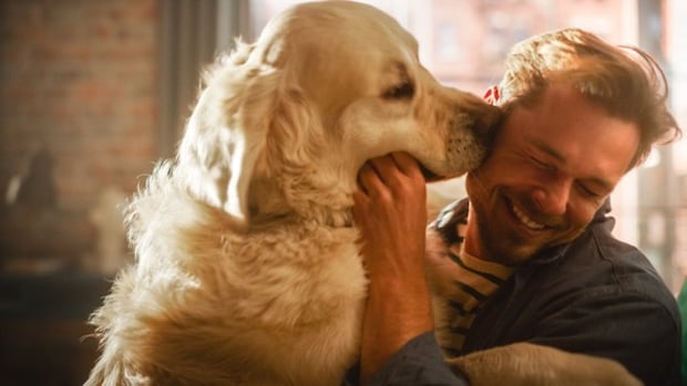 犬が『顔を舐めてくる』心理６選　やめてほしい場合に飼い主がすべき対処法とは？