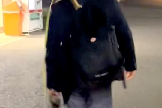 仕事帰り、お迎えに来た柴犬が歩かなくなってしまった結果→思わず二度見する『衝撃の帰宅スタイル』が127万再生「ポケモンで草」「癖がｗ」