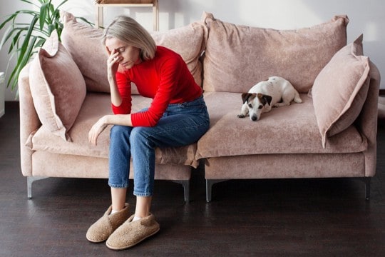 犬との生活に潜む『4つのトラブル』飼い主の不注意が原因で愛犬を危険にさらすことも…