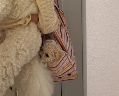 お出かけ