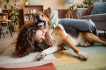 犬が嫌がる『スキンシップ』５選　愛犬が不快に感じる触り方や正しい接し方まで