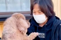 大好きなおばあちゃんとお別れをする犬→帰り際、後ろ姿を見たら…切なすぎる『バイバイの瞬間』が8万再生「大好きが伝わる」「離れたくないね」