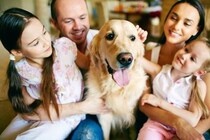 犬は『家族に順位付けをする』というのは間違い？愛犬からの信頼を得るために飼い主にできることまで