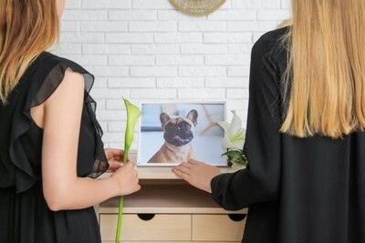 犬の遺影を見る女性