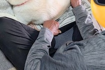 新聞を読んでいる父→犬が『撫でてほしい』と近づいてきて…自分勝手な『まさかの方法』に反響「かわいすぎるｗｗ」「うちの犬もやってました」
