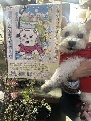 ちーちゃん