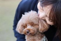 犬が不安になってしまう『褒め方』５選　逆効果となる対応や改善策まで解説