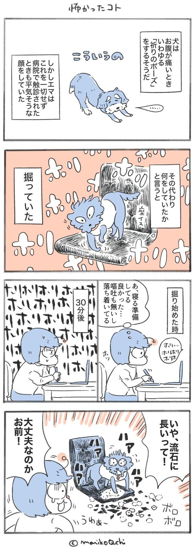 犬と暮らせば【第541話】